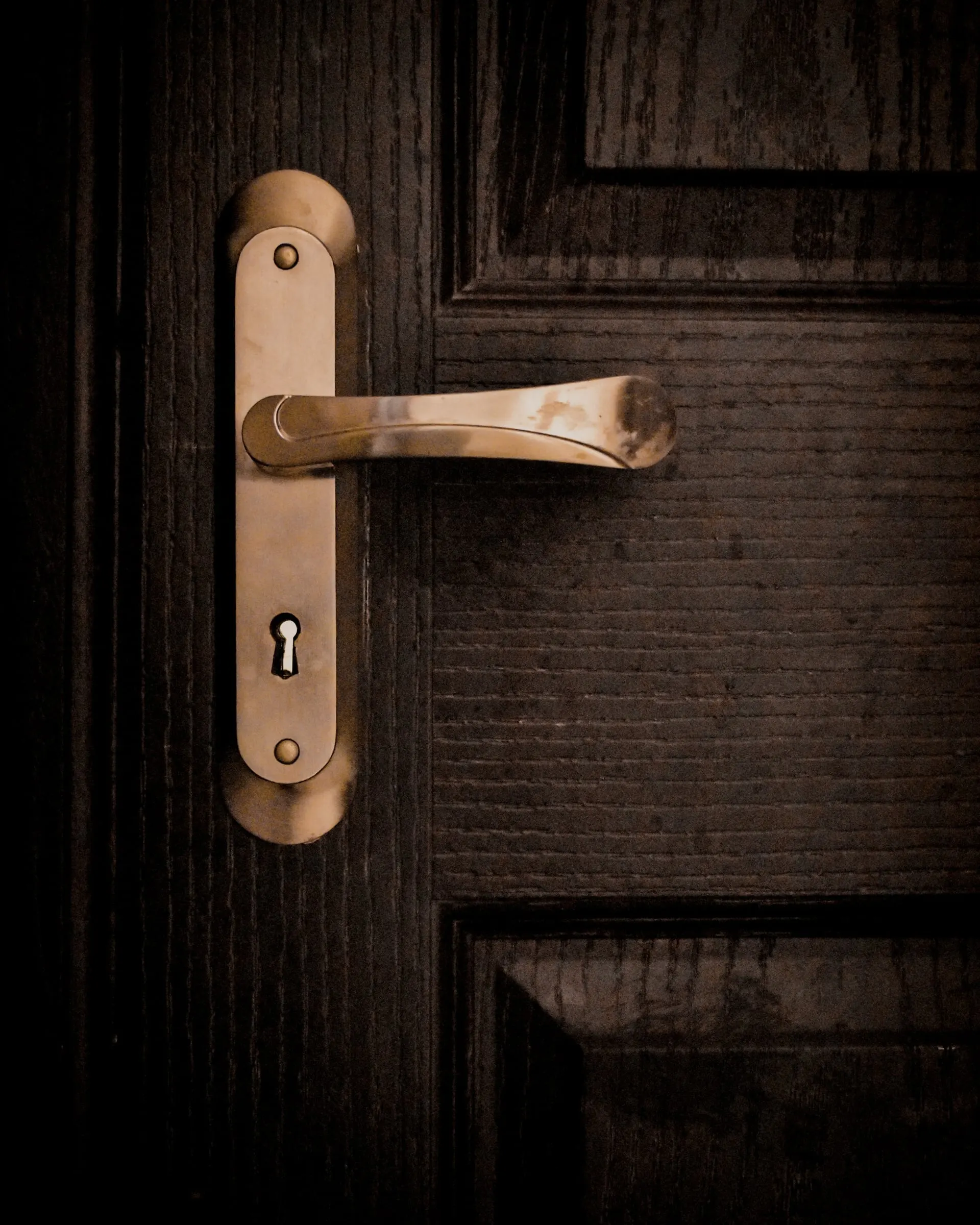 Poignée et plaque de laiton sur une porte en bois sombre
